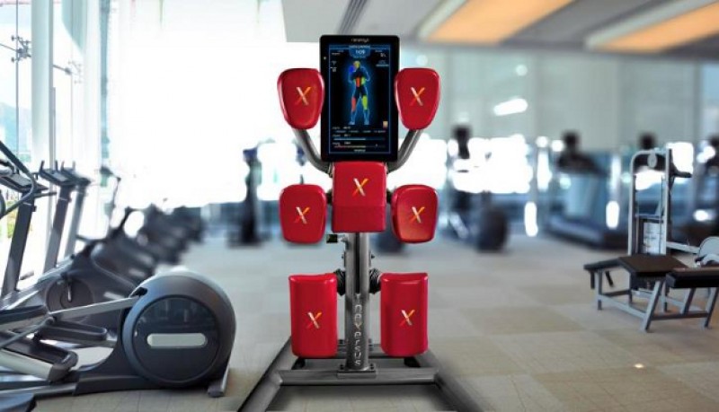 Unidad de boxeo Nexersys