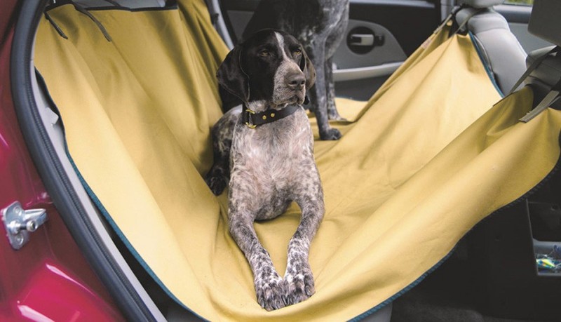 Filson protector de mascostas para el coche