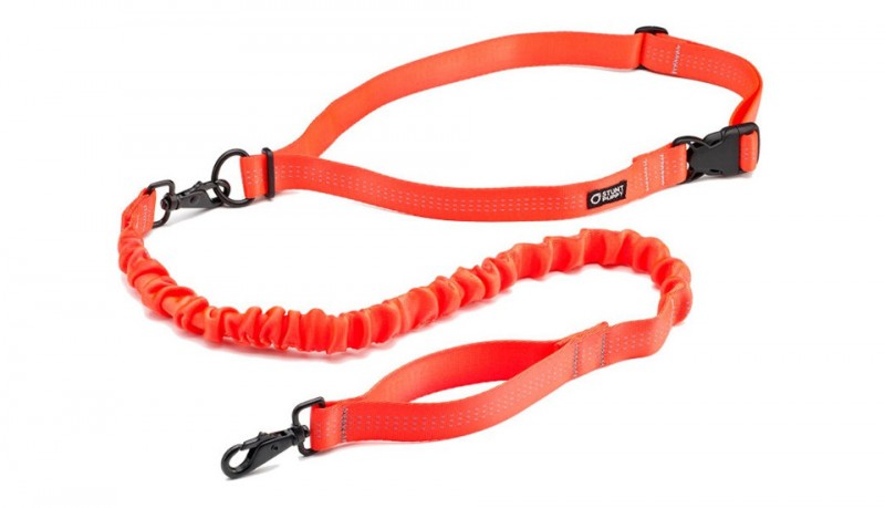 stunt puppy collar para correr con el perro de stunt puppy buenespacio stunt puppy collar para correr con el perro de stunt puppy buenespacio