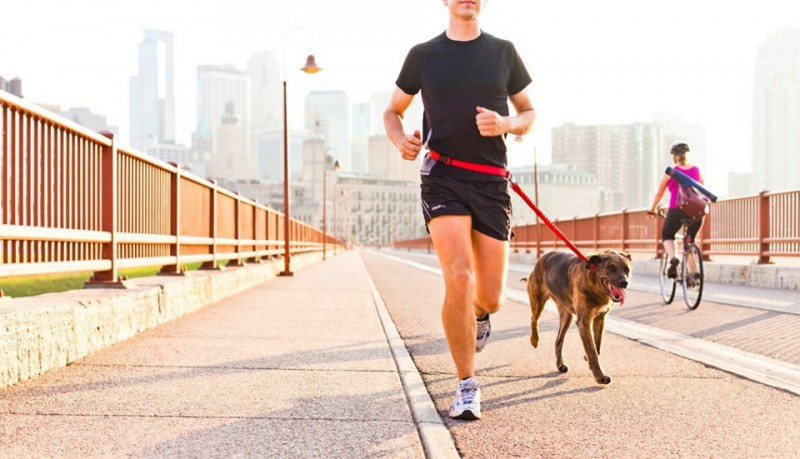 Collar para correr con el perro de Stunt Puppy
